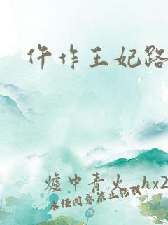 仵作王妃路子野