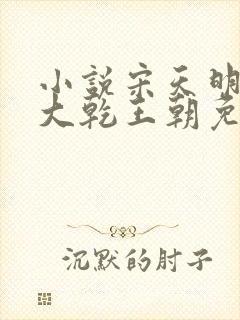 小说宋天明穿越大乾王朝免费阅读