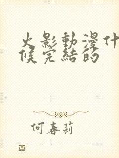 火影动漫什么时候完结的