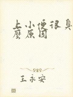 上小便很臭是什么原因