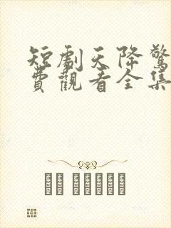 短剧天降惊喜免费观看全集