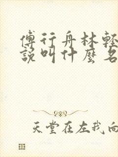 傅行舟林轻轻小说叫什么名字