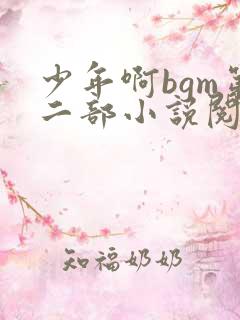 少年啊bgm第二部小说阅读免费