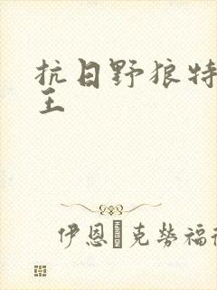 抗日野狼特战兵王