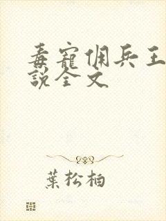 毒宠佣兵王妃小说全文