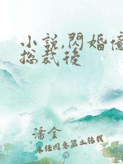 小说,闪婚亿万总裁后