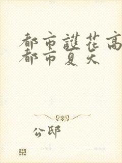 都市护花高手在都市夏天