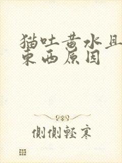 猫吐黄水且不吃东西原因