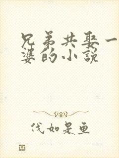 兄弟共娶一个老婆的小说