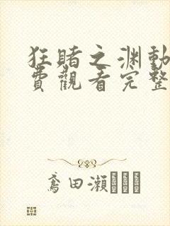 狂赌之渊动漫免费观看完整版