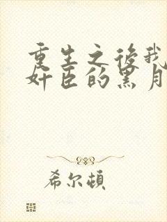 重生之后我成了奸臣的黑月光