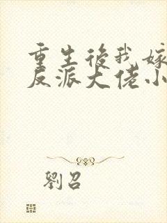 重生后我嫁给了反派大佬小说