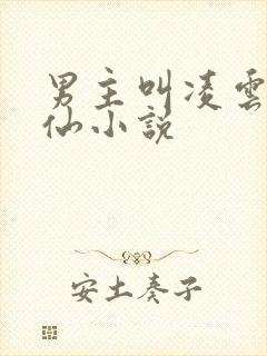 男主叫凌云的修仙小说