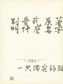 别爱我原著小说叫什么名字