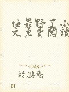 他最野了小说全文免费阅读无弹窗