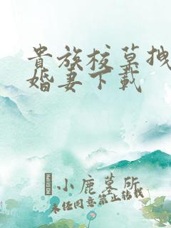 贵族校草拽拽未婚妻下载