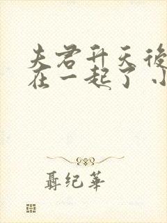 夫君升天后我俩在一起了 小说