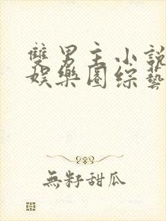 双男主小说推荐娱乐圈综艺