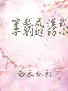 穿越成汉武帝孙子刘进的小说