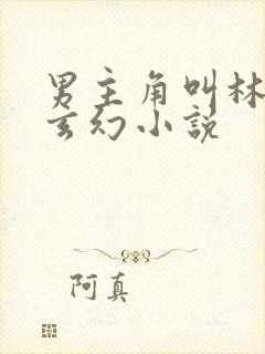 男主角叫林萧的玄幻小说