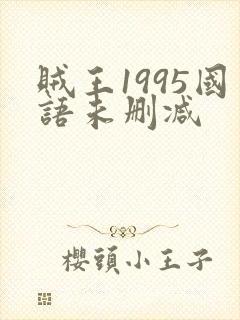 贼王1995国语未删减