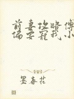 前妻攻略傅先生偏要宠我小说免费阅读