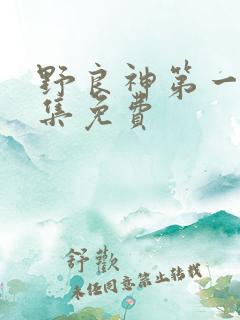 野良神第一季全集免费