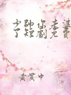 少帅你老婆又跑了短剧免费的