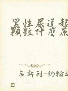 男性尿道起红色颗粒什么原因