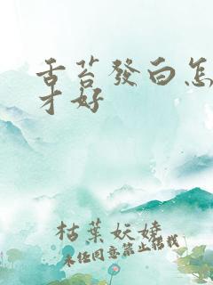 舌苔发白怎么治才好