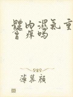 体内湿气重外阴会痒吗