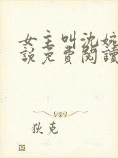 女主叫沈婉的小说免费阅读