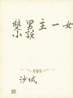 双男主一女主的小说