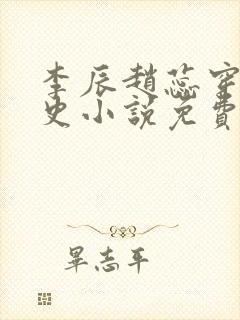 李辰赵蕊穿越历史小说免费阅读