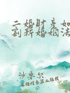 二婚财产如何分割新婚姻法