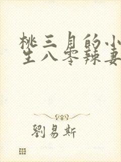 桃三月的小说重生八零辣妻当家