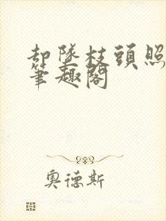 却坠枝头照夜灯笔趣阁