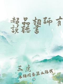 超品相师有声小说听书