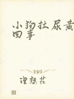 小狗拉尿黄怎么回事