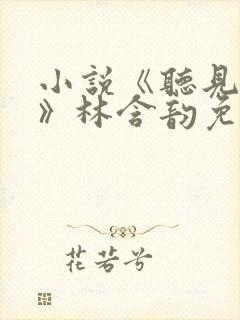 小说《听见以后》林含韵免费阅读