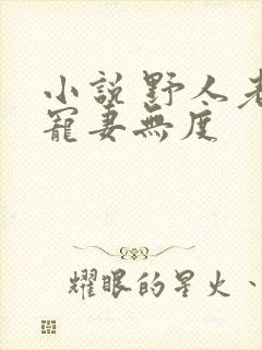 小说 野人老公宠妻无度