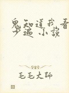 鬼知道我看了多少遍 小说