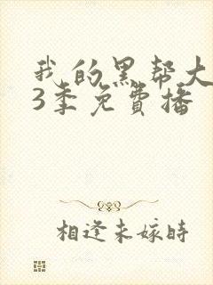 我的黑帮大佬第3季免费播