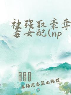 被强取豪夺的恶毒女配(np