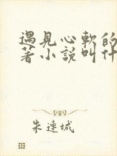 遇见心软的神原著小说叫什么名字