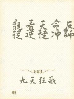 观看天命反派,从逆徒冲师开始小说