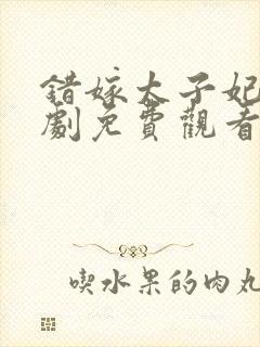 错嫁太子妃电视剧免费观看