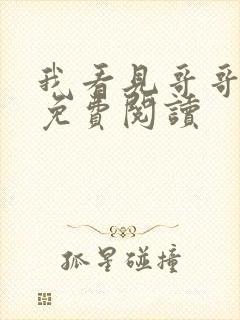 我看见哥哥全文免费阅读