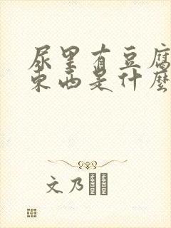 尿里有豆腐渣的东西是什么情况