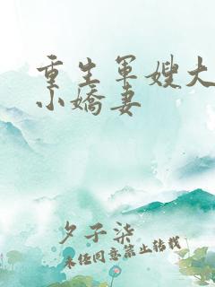 重生军嫂大首长小娇妻